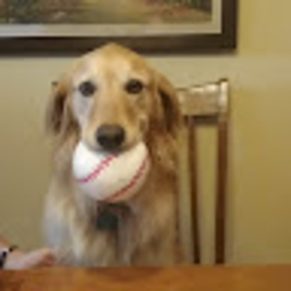 Meet your Posher, Miss